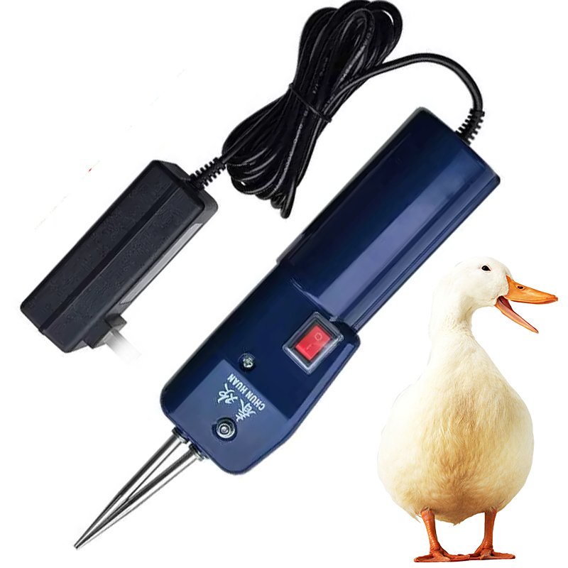 Img